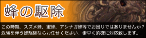 蜂の駆除 危険を伴う蜂駆除ならお任せください。素早く対応致します。